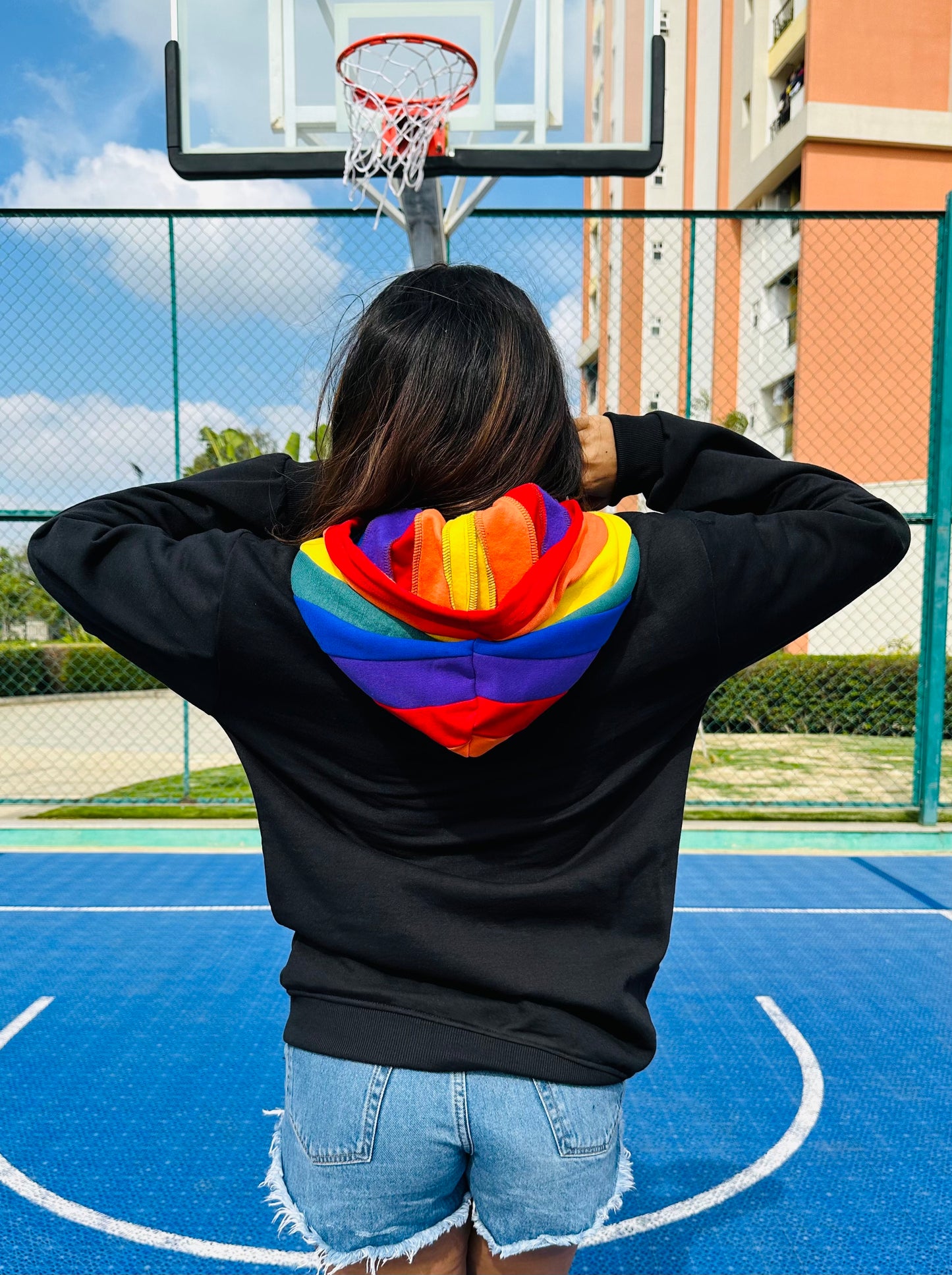 Purrfectly Proud Black Hoodie with Pride Hood