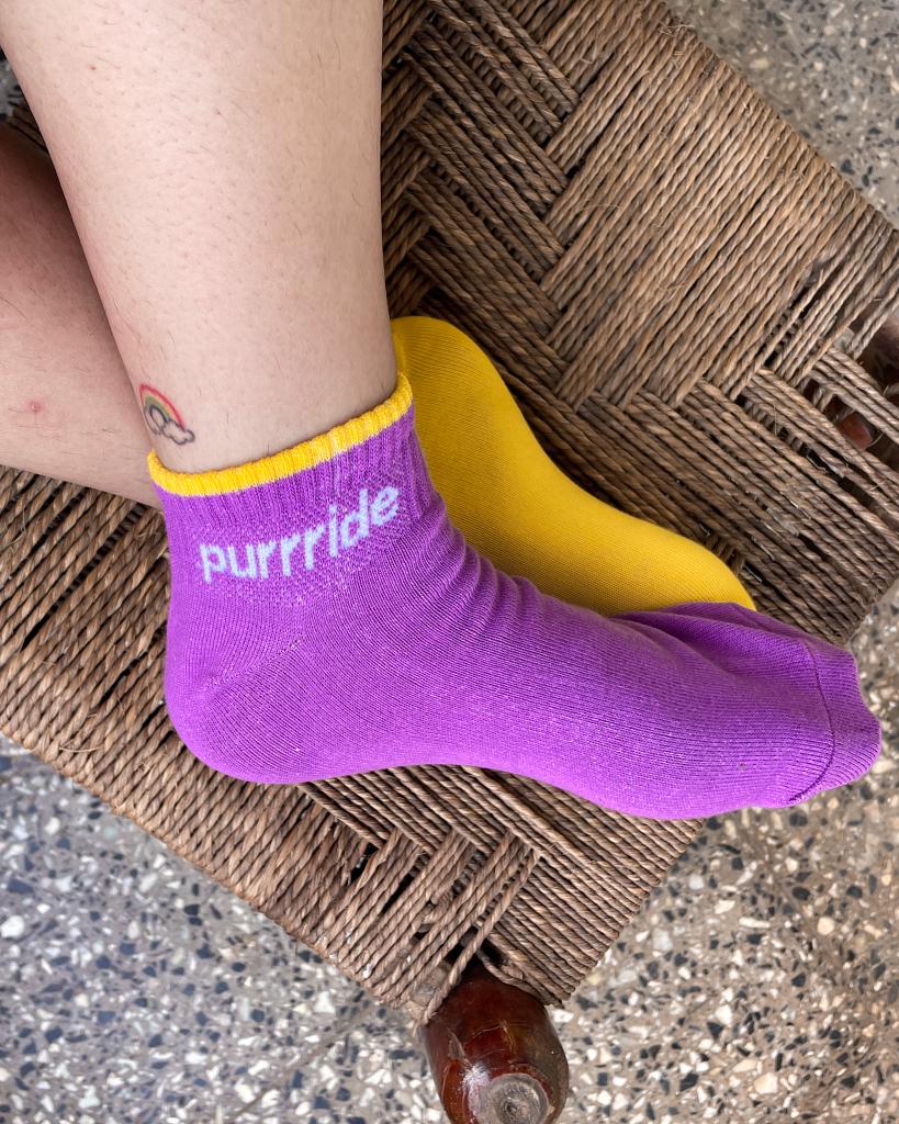 Purple and Yellow Pride Socks by Purrride